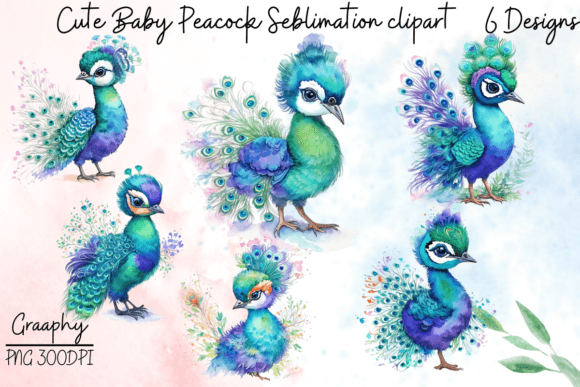 Adorable Baby Peacock PNGs for Creative Sublimation