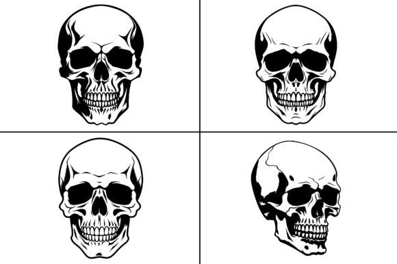 Skull Skeleton Head Silhouette: Bold Vector Graphics for Impactful Designs